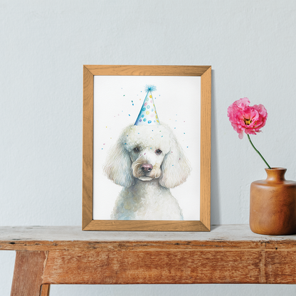 White poodle wearing a party hat - Art Print