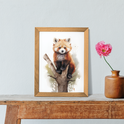 Red panda on a tree branch - Art Print