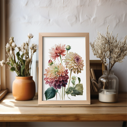Dahlia's 4 - Art Print