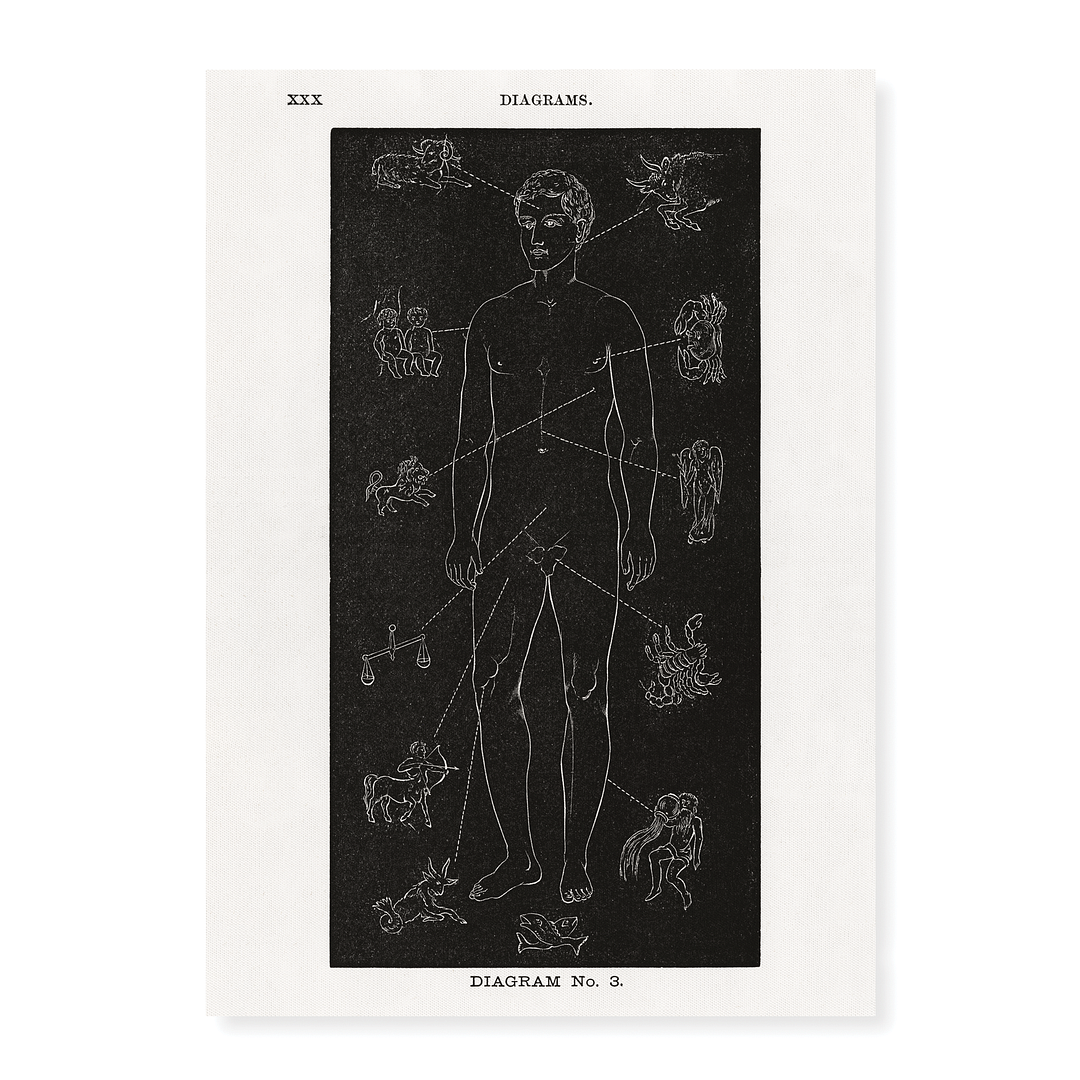 Diagram no.3 Solar Biology By Hiram Erastus Butler - Art Print