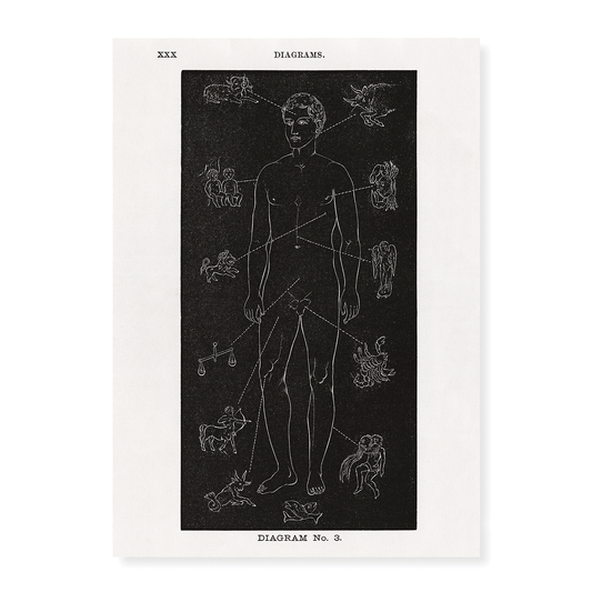 Diagram no.3 Solar Biology By Hiram Erastus Butler - Art Print