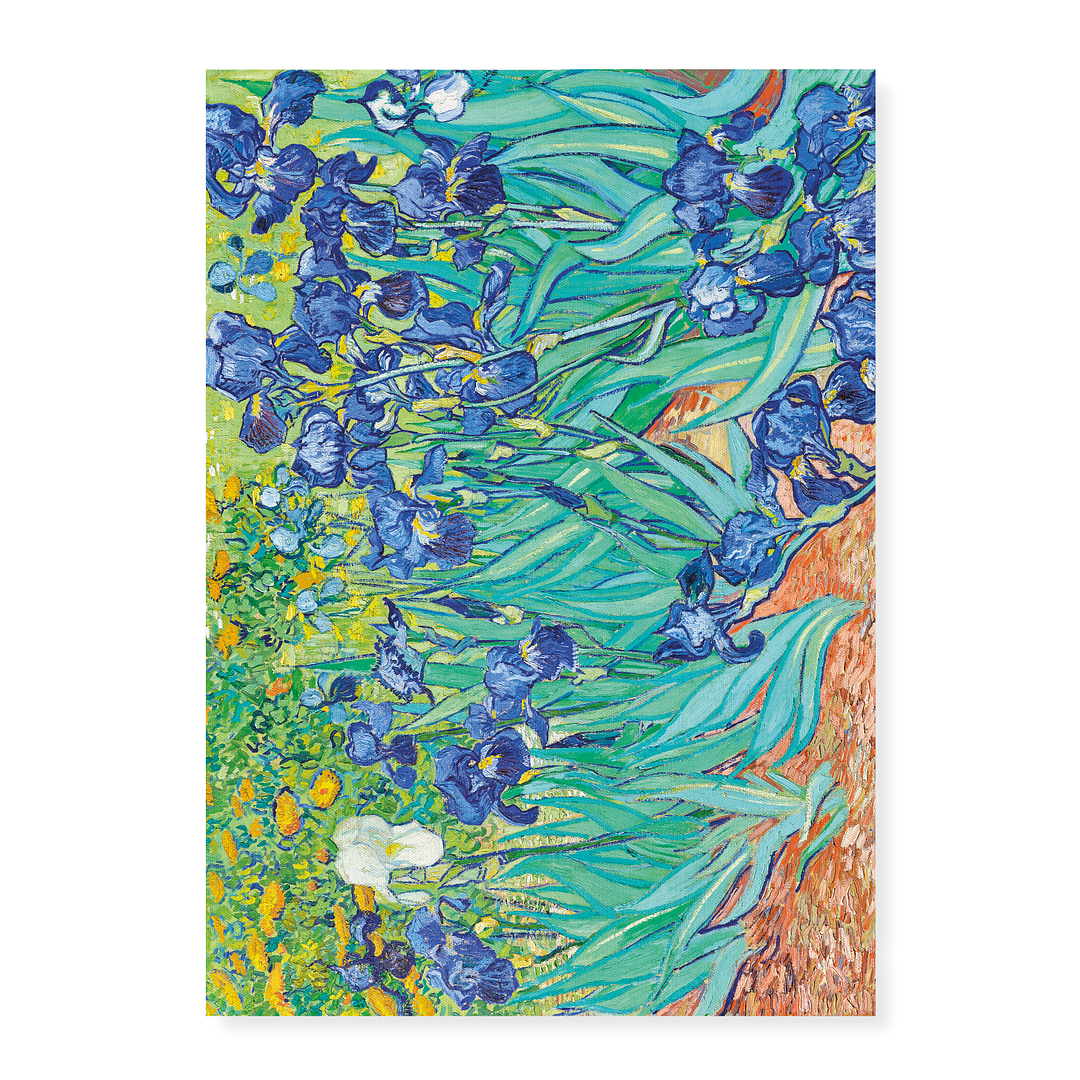 Vincent Van Gogh's Irises  - Art Print