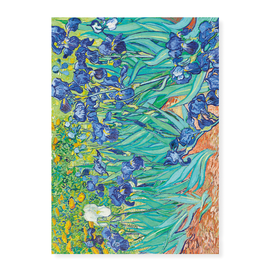 Vincent Van Gogh's Irises  - Art Print