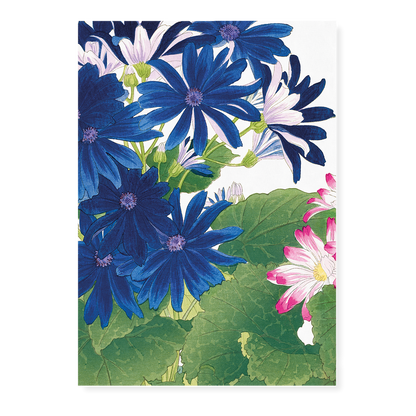 Blue Cineraria By Tanigami Kônan Art-Print