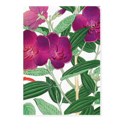 Melastoma By Tanigami Kônan Art-Print