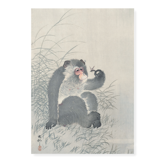 Monkey with insect By Ohara Koson - Art Print