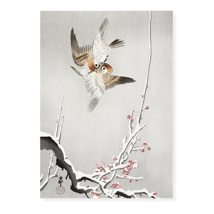 Sparrows and snowy plum tree By Ohara Koson - Art Print