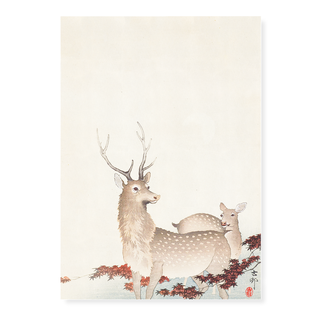 Couple of deers By Ohara Koson - Art Print
