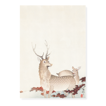 Couple of deers By Ohara Koson - Art Print