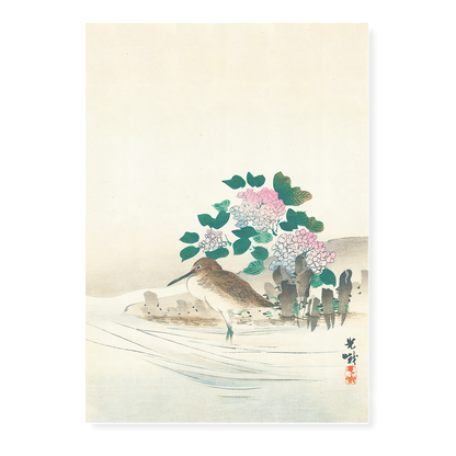 Water Bird and Hydrangea By Koga Iijima - Art Print