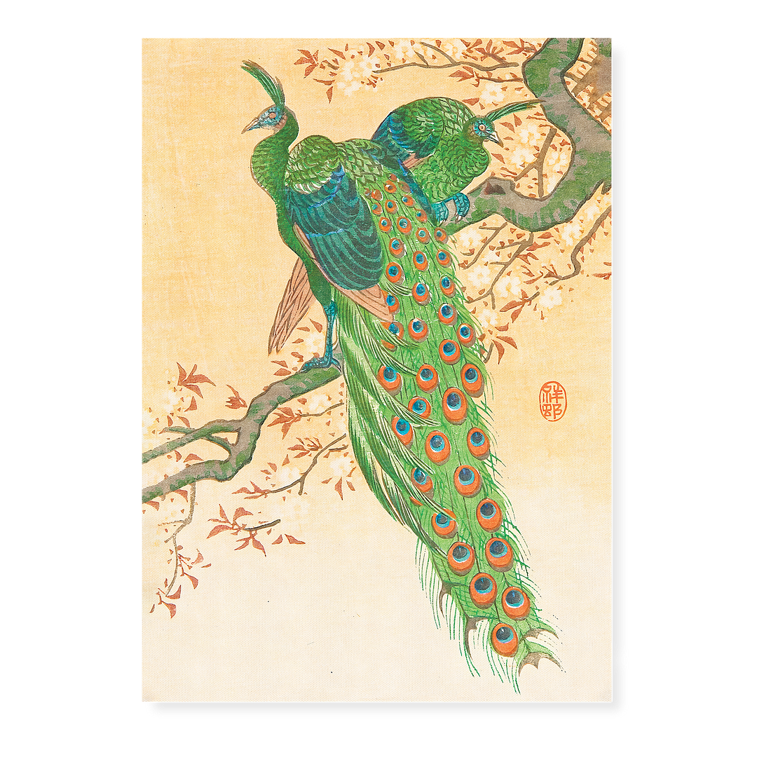 Peacock and Peahen on Branch By Ohara Koson - Art Print