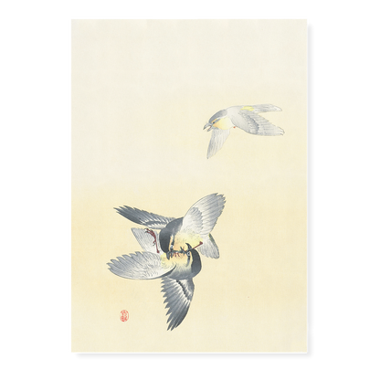Two fighting birds By Ohara Koson - Art Print