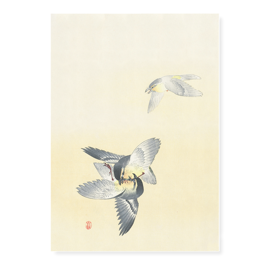 Two fighting birds By Ohara Koson - Art Print
