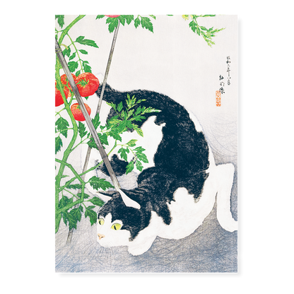 Cat with Tomato Plant By Hiroaki Takahashi - Art Print