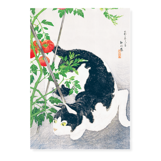 Cat with Tomato Plant By Hiroaki Takahashi - Art Print
