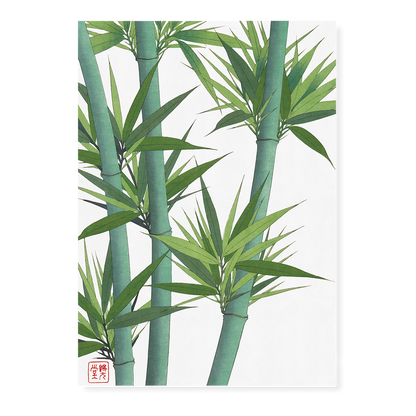 Bamboo II By Shodo Kawarazaki - Art Print
