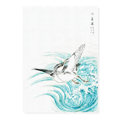 Mongolian Plover By Numata Kashu - Art Print