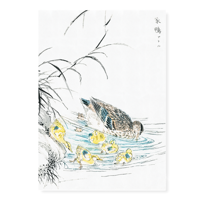 Duck By Numata Kashu - Art Print