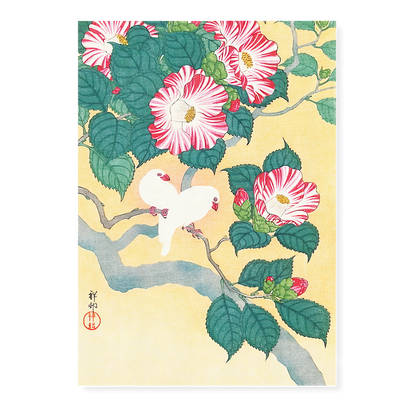 Camellia and Rice Birds By Ohara Koson - Art Print