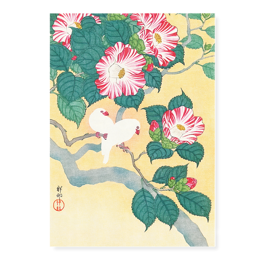 Camellia and Rice Birds By Ohara Koson - Art Print