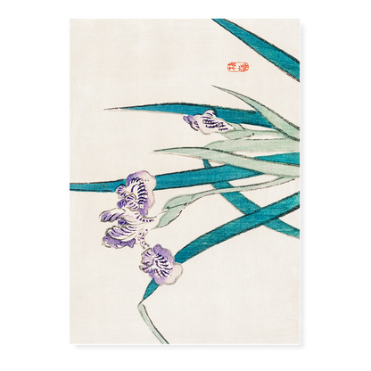 Irises by Kōno Bairei - Art Print