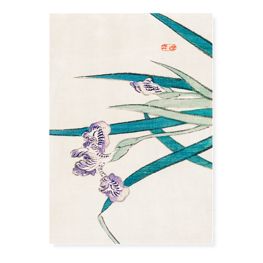 Irises by Kōno Bairei - Art Print