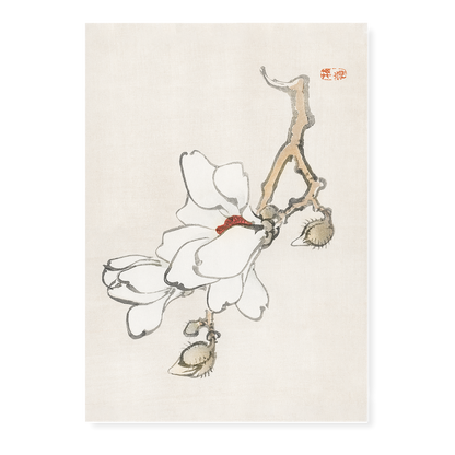 Magnolia by Kōno Bairei - Art Print