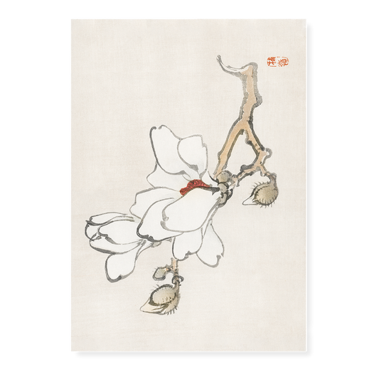 Magnolia by Kōno Bairei - Art Print