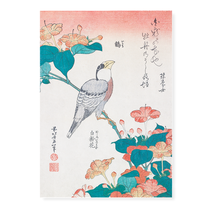 Hawfinch and Marvel-of-Peru By Katsushika Hokusai - Art Print