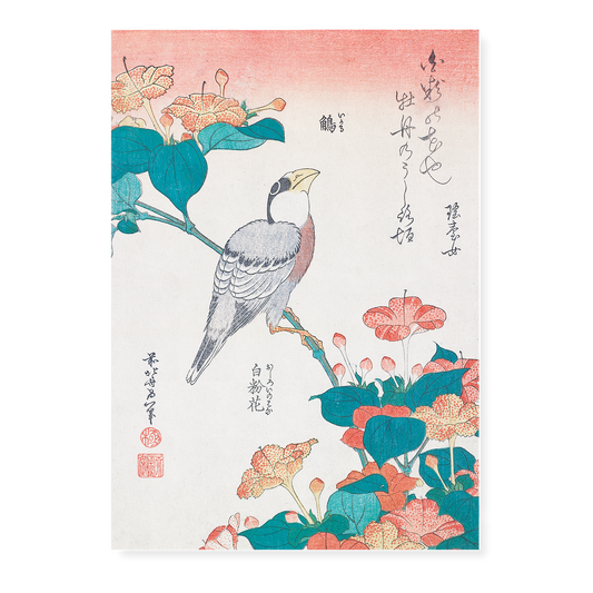 Hawfinch and Marvel-of-Peru By Katsushika Hokusai - Art Print