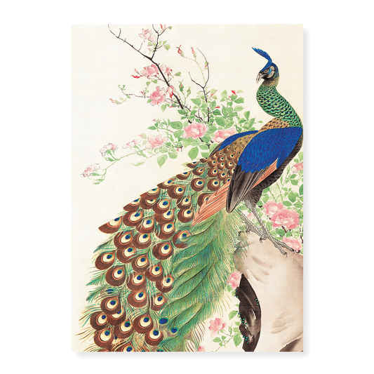 Peacock and flowers by Nagasawa Roshu - Art Print