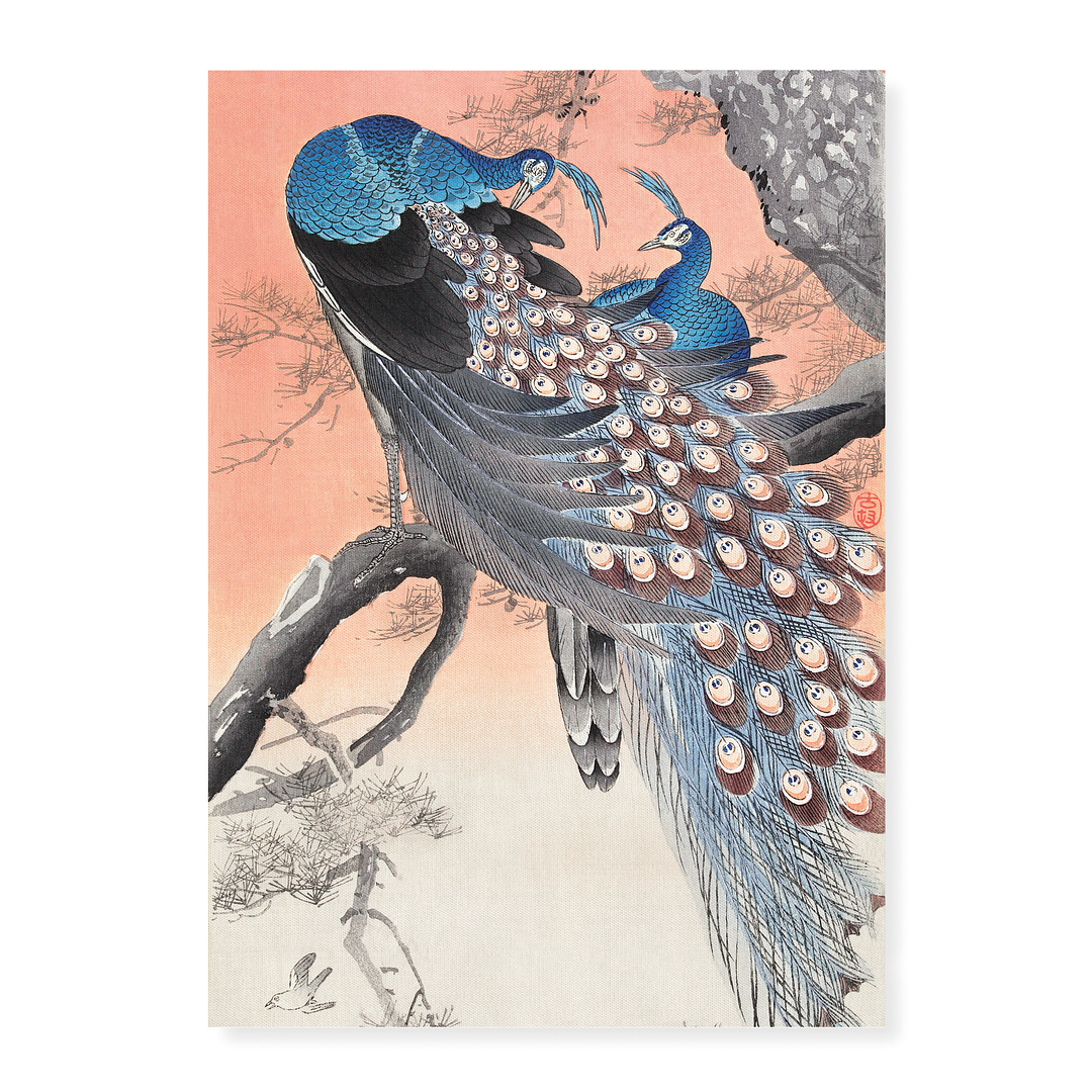 Two peacocks on tree branch (1900 - 1930) by Ohara Koson  - Art Print