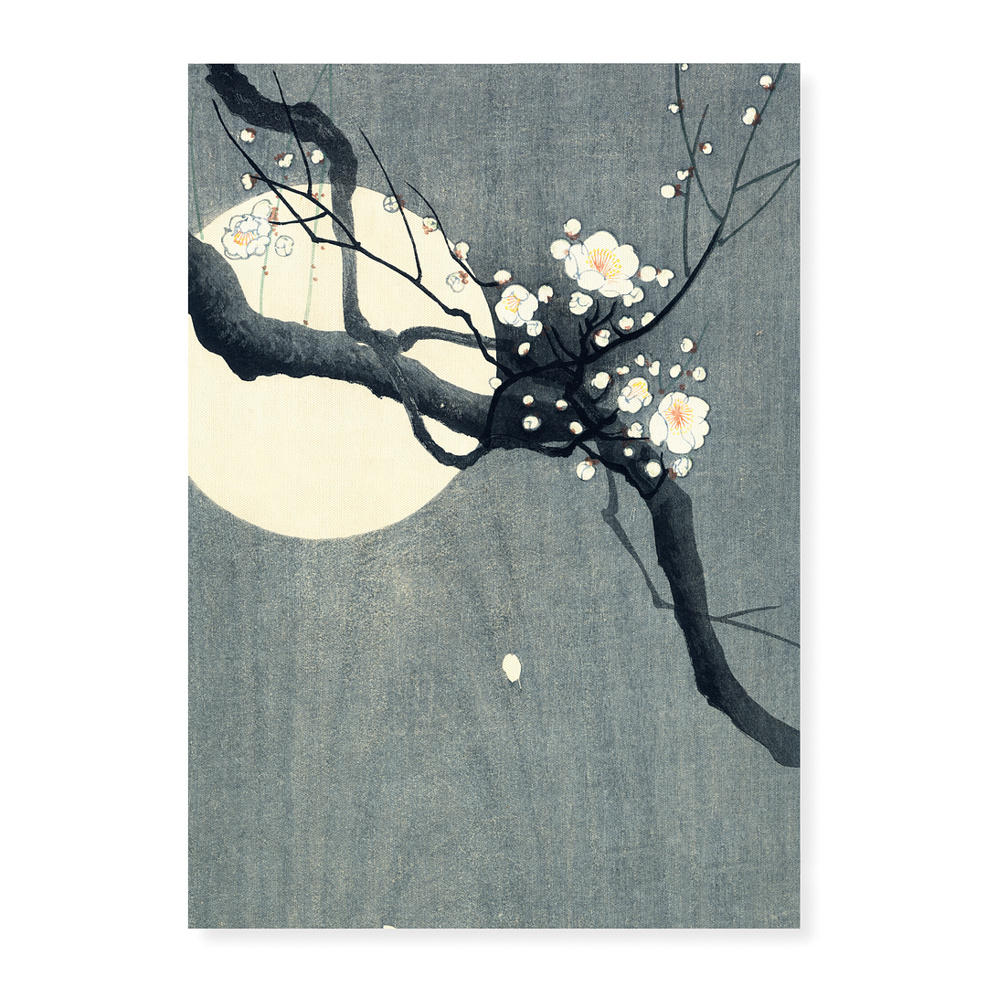 Plum Blossom and Full Moon by Ohara Koson - Art Print