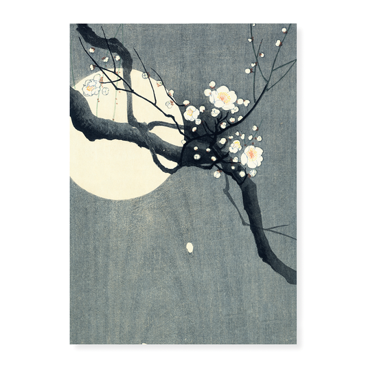 Plum Blossom and Full Moon by Ohara Koson - Art Print