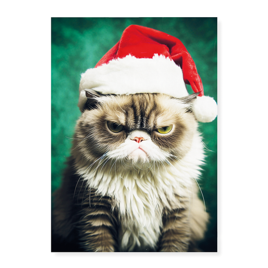 Grumpy Santa cat - Art Print
