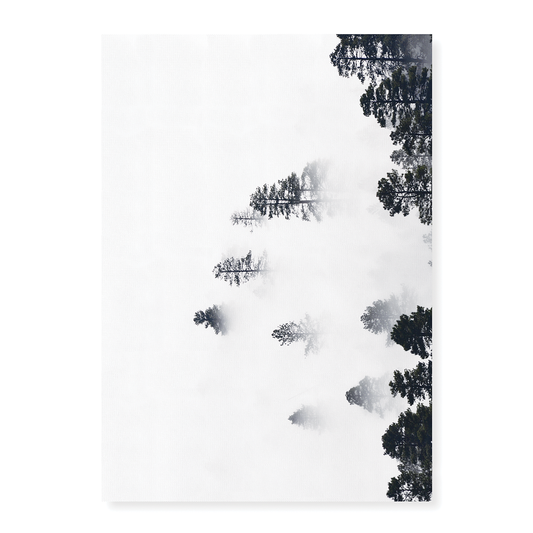 Trees Amidst the Mysterious Mist - Art Print