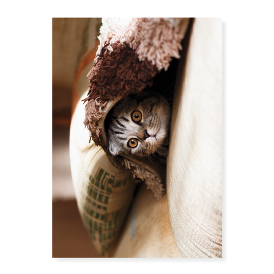 Cute cat hiding under blanket - Art Print