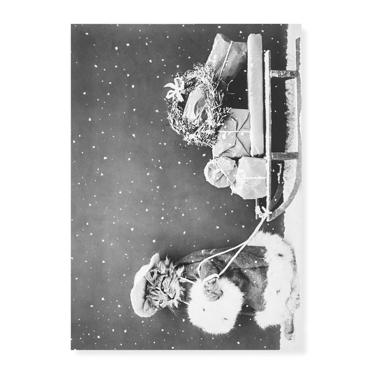 Santa Cat - Art Print