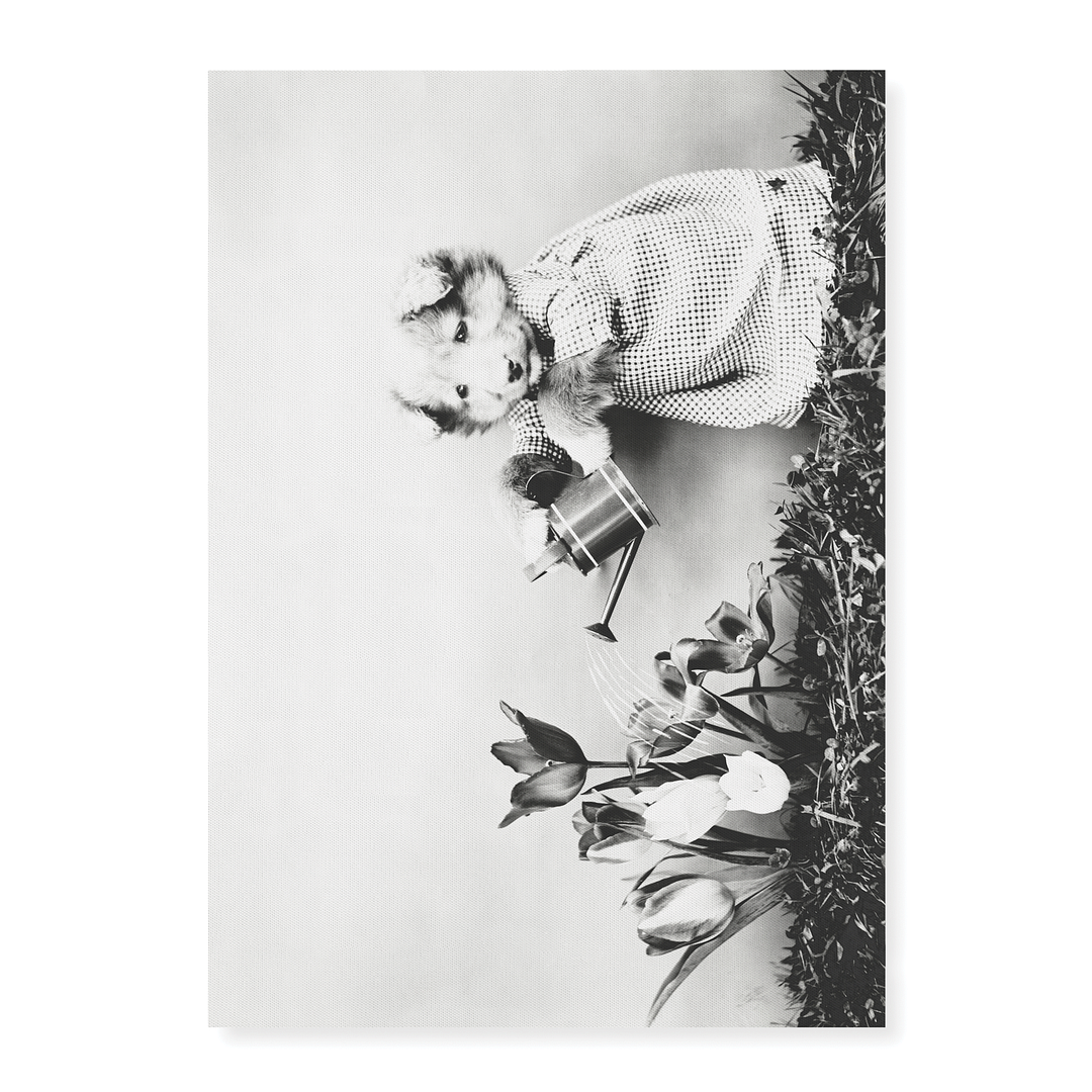 Dog watering plant - Art Print