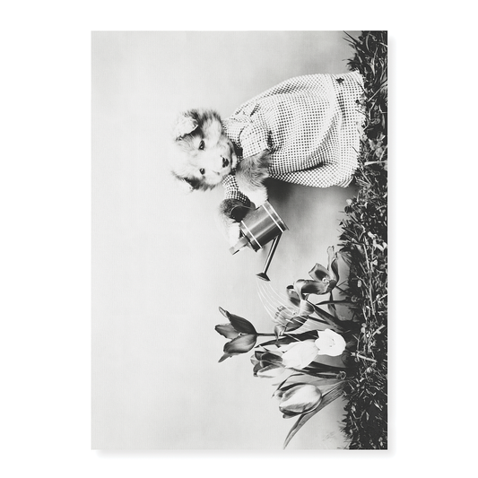 Dog watering plant - Art Print