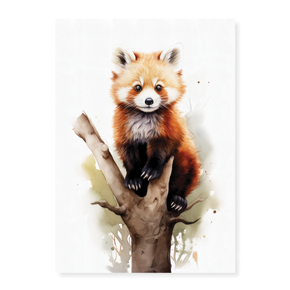 Red panda on a tree branch - Art Print