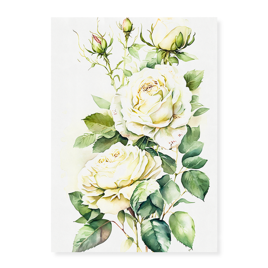 White rose I - Art Print