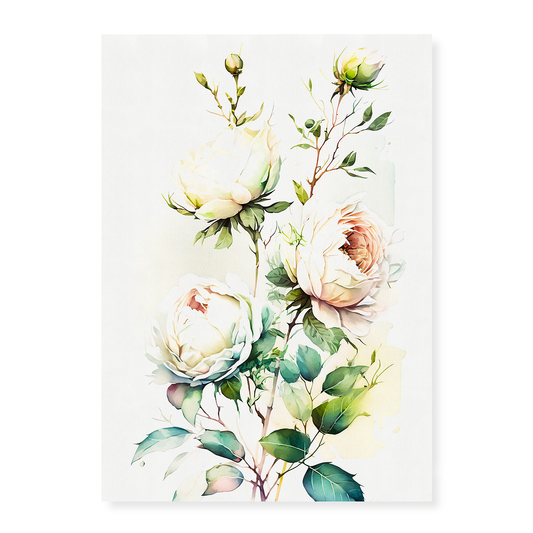 White rose II - Art Print