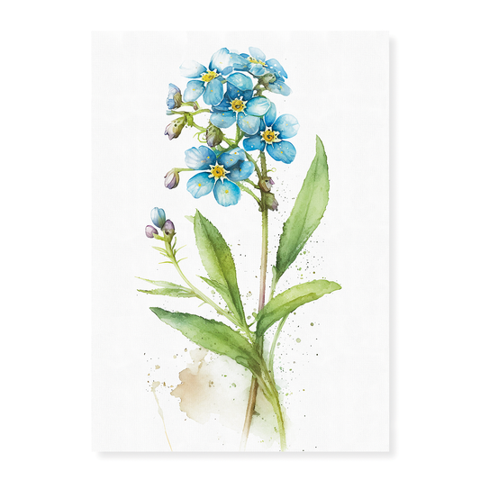 Forget me not I - Art Print