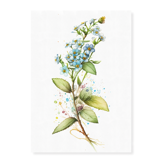 Forget me not II - Art Print