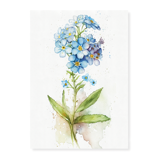 Forget me not II - Art Print