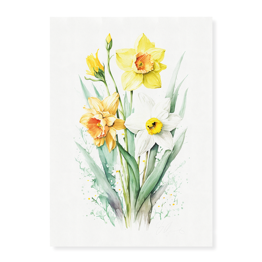 Daffodils I - Art Print