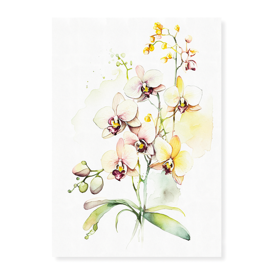 Orchids I - Art Print