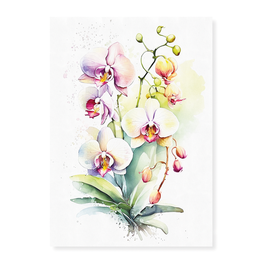 Orchids II - Art Print