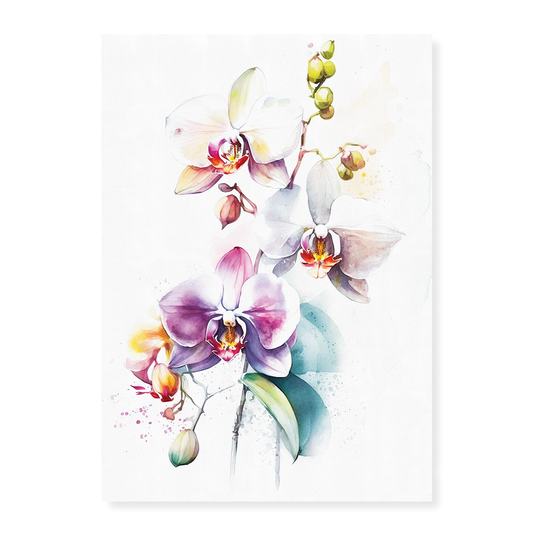 Orchids III - Art Print